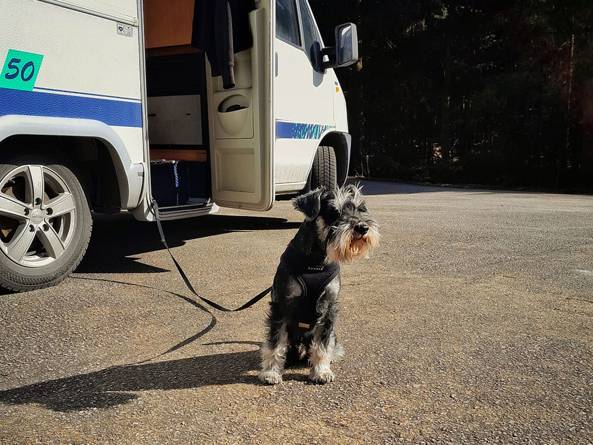 A Journey of Resilience: Embracing the Road with my RV