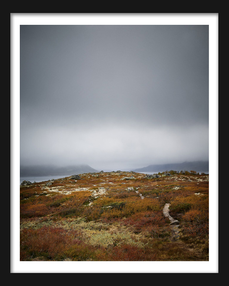 Foggy landscape at Imingfjell.