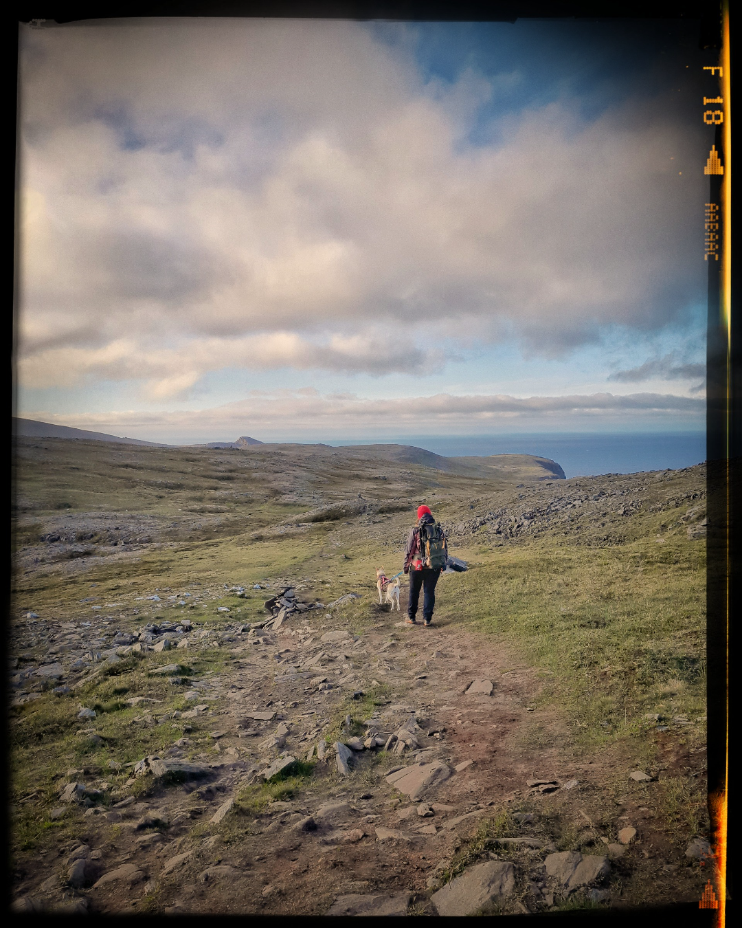 Kaddy and Peachy walking in the northen Norwegian landscape.